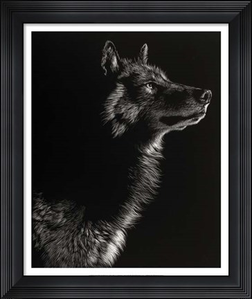 Framed Scratchboard Wolf II Print
