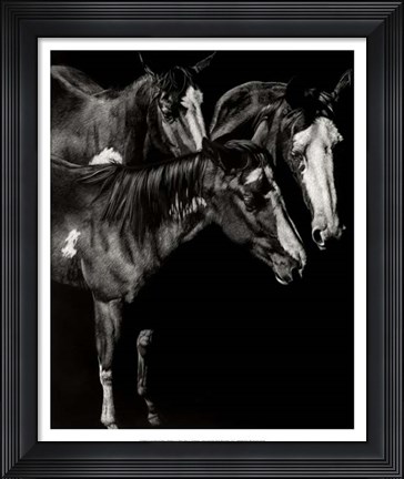 Framed Scratchboard Blaze Buddies Print