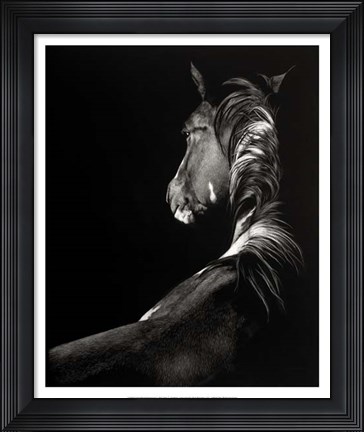 Framed Scratchboard Sunstruck Print