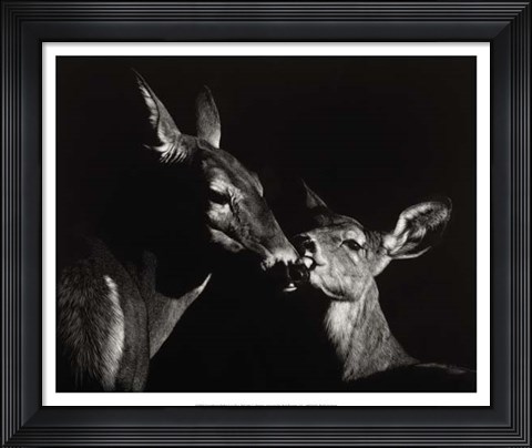 Framed Scratchboard Mother Love #2 Print