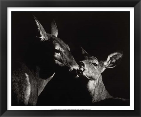 Framed Scratchboard Mother Love #2 Print