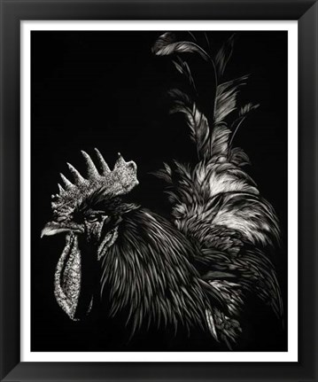 Framed Scratchboard Tyrant Print