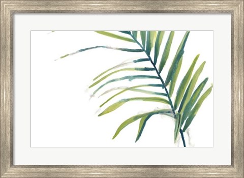 Framed Palm Wonderful V Print