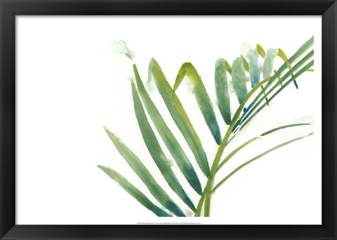 Framed Palm Wonderful VI Print