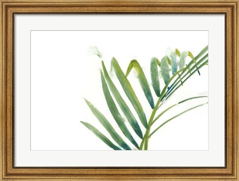 Framed Palm Wonderful VI Print
