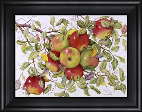 Framed Apples Print