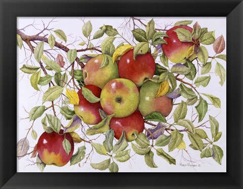 Framed Apples Print