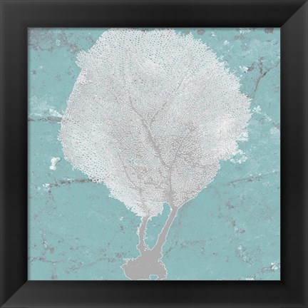 Framed Graphic Sea Fan II Print