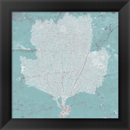 Framed Graphic Sea Fan III Print