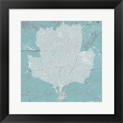 Framed Graphic Sea Fan III Print