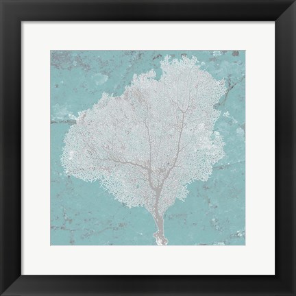 Framed Graphic Sea Fan VII Print