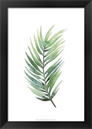 Framed Untethered Palm I Print