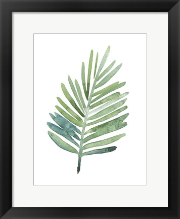 Framed Untethered Palm V Print