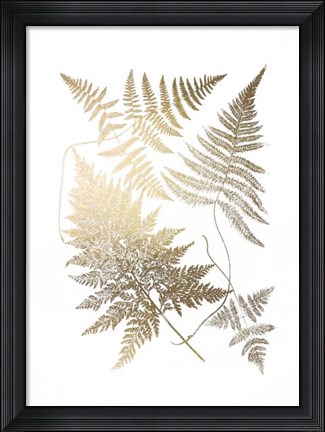 Framed Gold Foil Ferns III Print