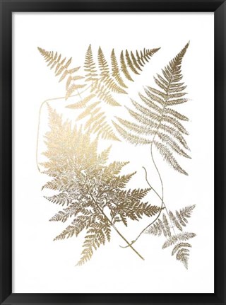 Framed Gold Foil Ferns III Print