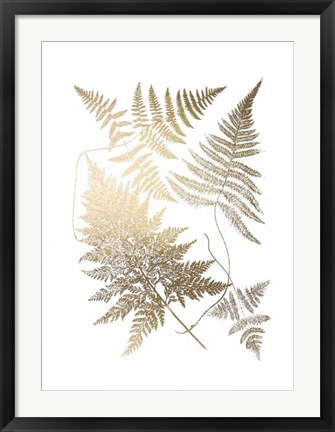 Framed Gold Foil Ferns III Print
