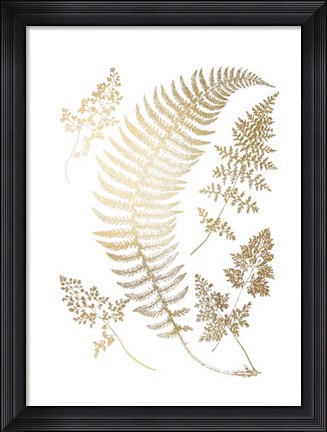 Framed Gold Foil Ferns IV Print