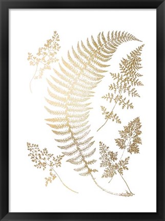 Framed Gold Foil Ferns IV Print