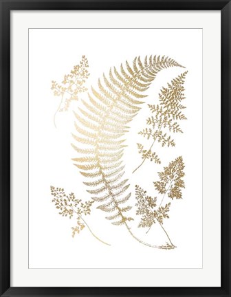 Framed Gold Foil Ferns IV Print