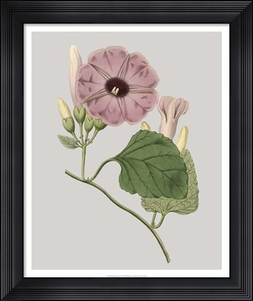 Framed Floral Gems IV Print
