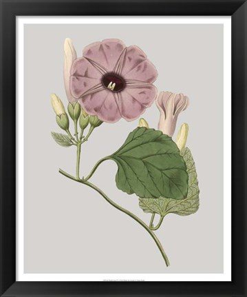 Framed Floral Gems IV Print