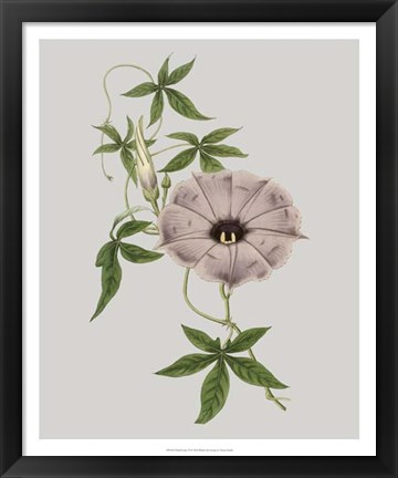Framed Floral Gems VI Print