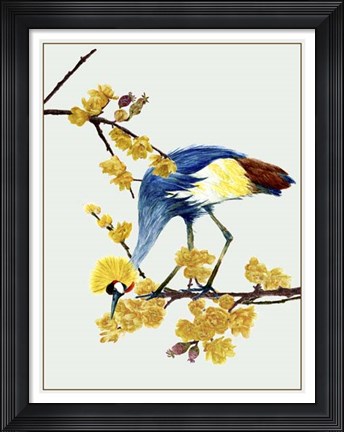 Framed Chimonanthus Praecox I Print