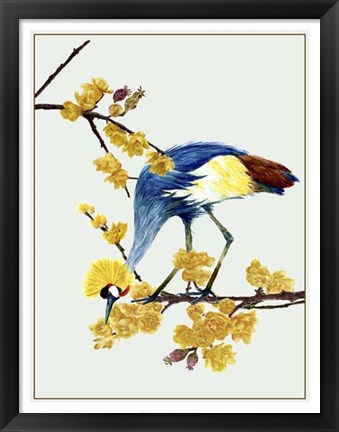 Framed Chimonanthus Praecox I Print