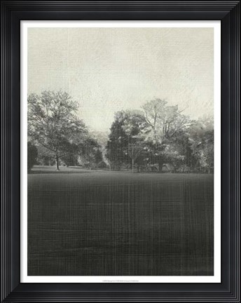 Framed Morning View I Print