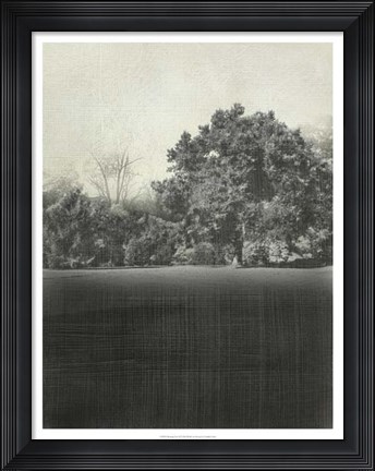 Framed Morning View II Print