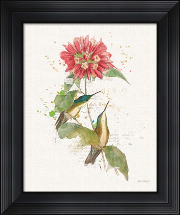 Framed Colorful Hummingbirds I Print