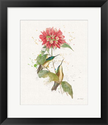 Framed Colorful Hummingbirds I Print