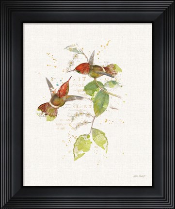 Framed Colorful Hummingbirds II Print