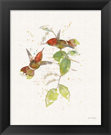 Framed Colorful Hummingbirds II Print