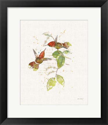 Framed Colorful Hummingbirds II Print