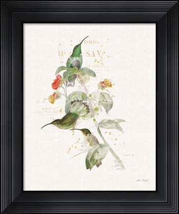 Framed Colorful Hummingbirds III Print