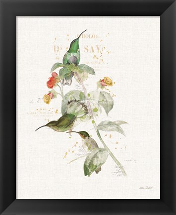 Framed Colorful Hummingbirds III Print