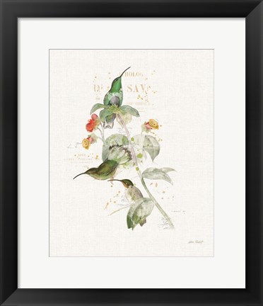 Framed Colorful Hummingbirds III Print