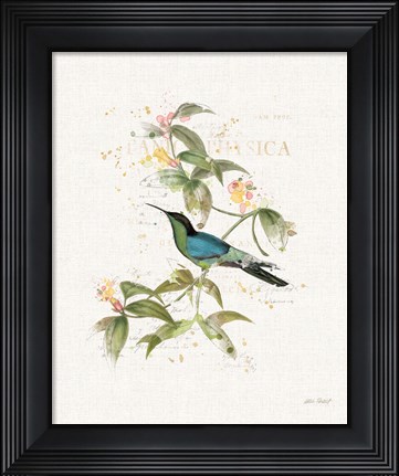Framed Colorful Hummingbirds IV Print