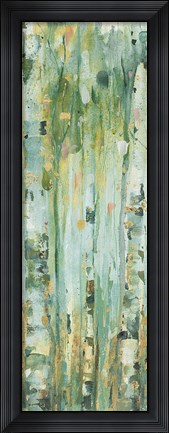 Framed Forest V Print
