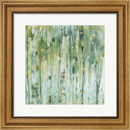 Framed Forest III Print