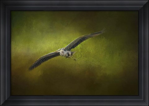 Framed Great Blue Heron In The Grove Print