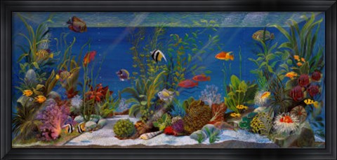 Framed Acquario Print