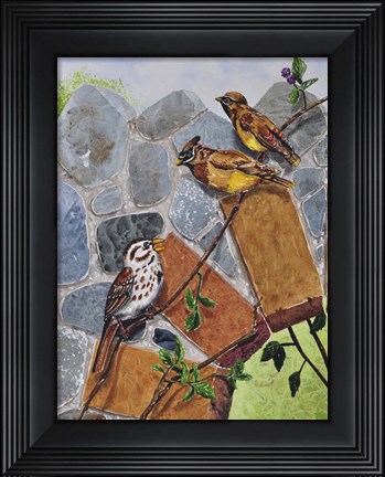 Framed Song Sparrow and Cedar Waxwings Print