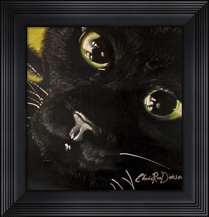 Framed Cat&#39;s Eyes Print