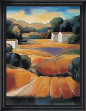 Framed Montecito II Print
