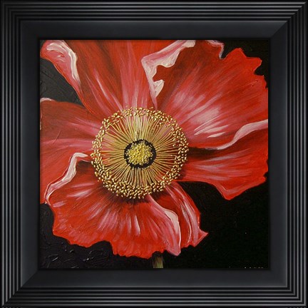 Framed Red Poppy Print