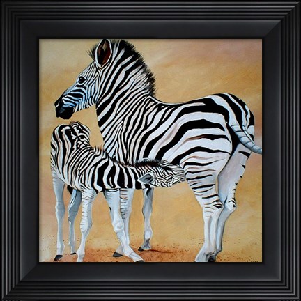 Framed Zebra Bonding Print