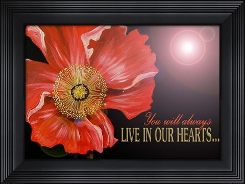 Framed Bereavement Poppy Print
