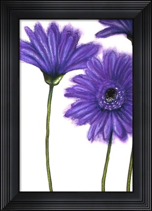 Framed Purple Gerberas 1 Print